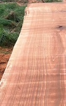 900 x 100 Redwood Ledge