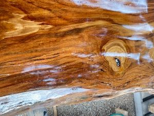 900 x 100 Macrocarpa Ledge